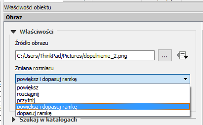 Właściwości obiektu - obraz
